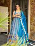 Jimmy organza Anarkali